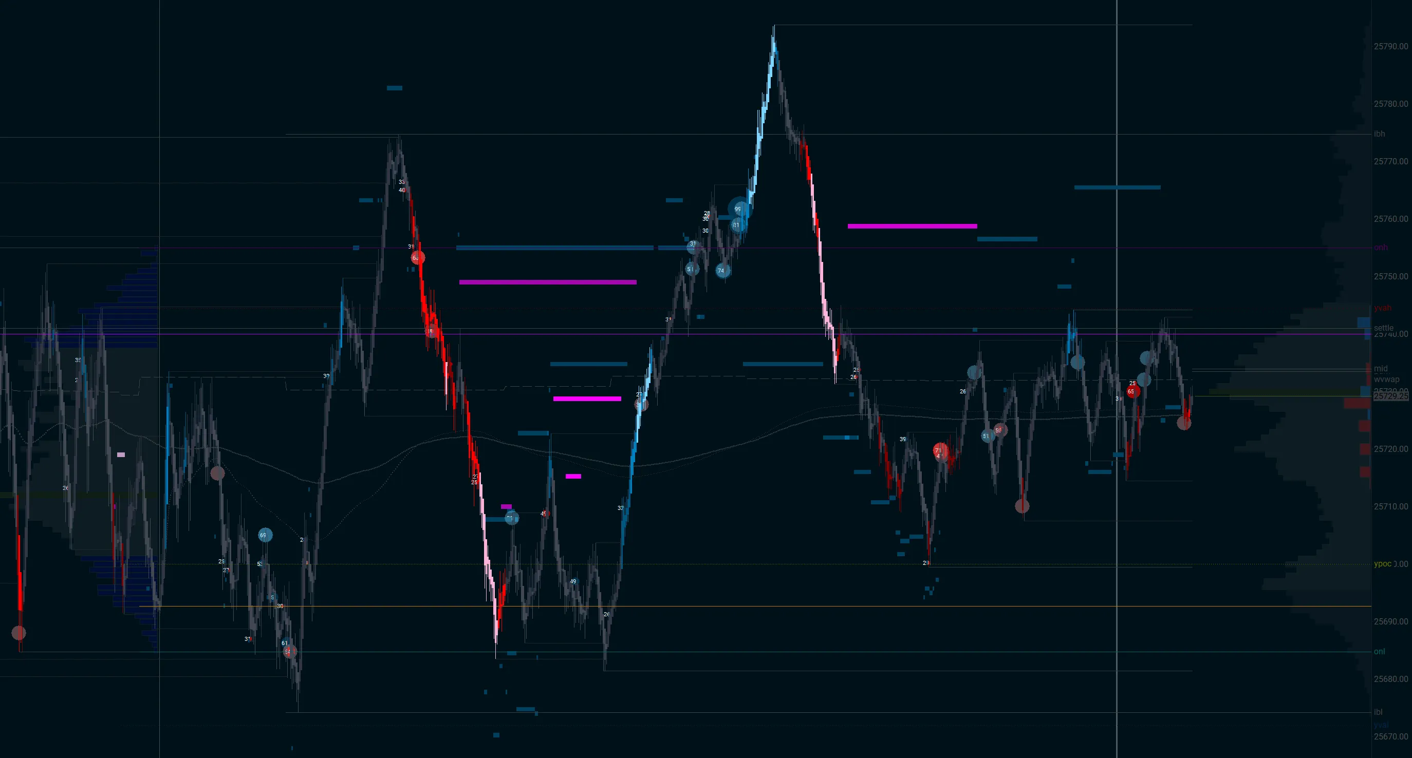 Sierra Chart orderflow chart with volume profile