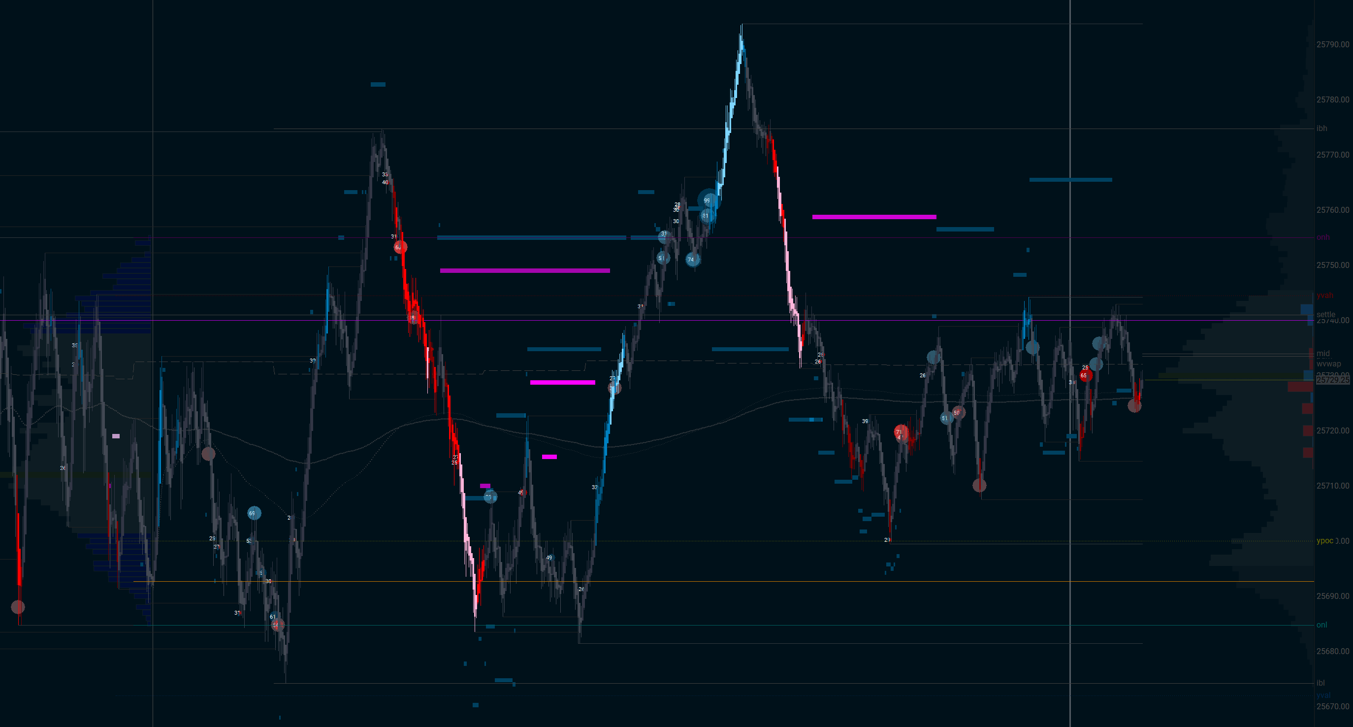 Custom orderflow chart automatically captured by FlowLogr